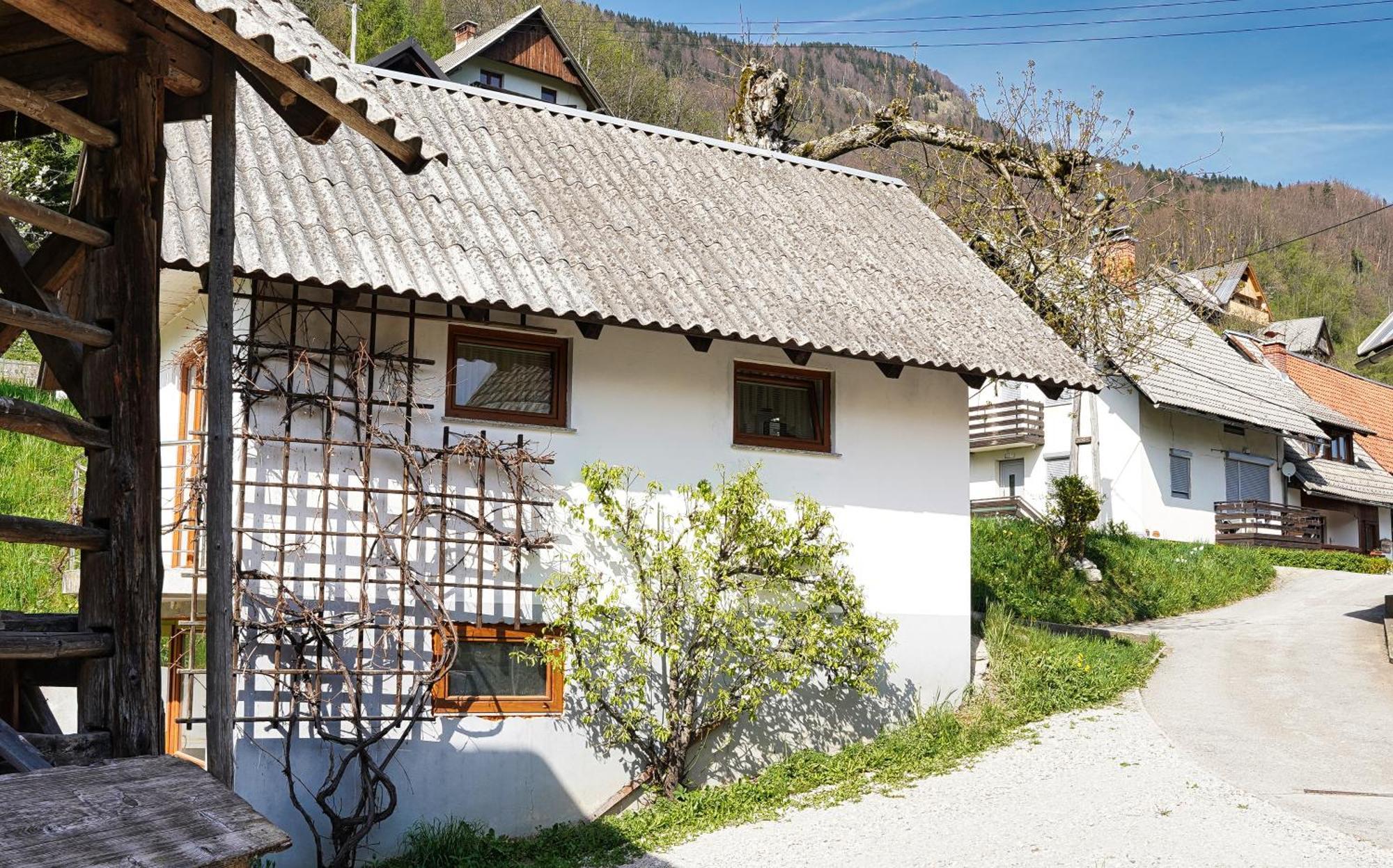 Apartments Pr' Pavleto Bohinj Exterior foto